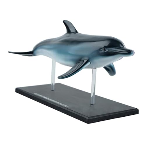 Modelo de anatomía de delfín 4D con órganos y esqueleto desmontable 2