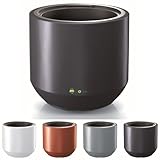 Grand pot de fleurs géant. Grâce à sa taille, vous pouvez utiliser l'espace libre si vous n'avez pas d'idées pour votre décoration intérieure.