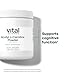Vital Nutrients Acetyl L-Carnitine Powder | Brain, Memory, and Cognitive Support Supplement - Vegan - Gluten, Dairy, Soy Free - Non-GMO - 100 Grams