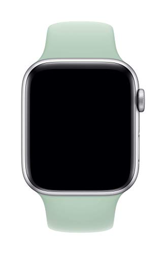 Image of Apple Watch Sport Band (40mm) - Beryl - Regular