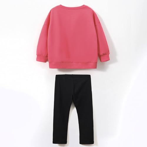 Image of HILEELANG Toddler Girl Fall Outfits Clothing Pants Set Sweatshirt Cotton Strench Leggings Playwear Sets 2pc