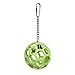 JW Pet Company Activitoys Hol-ee Roller Bird Toy ( Color May Vary )