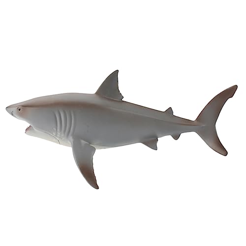 WESIEVYA V~[V zzWU T̃tBMA T̃ObY ̑ ȃT̒u AȃT̂ C̊C̓tBMA C̑ T̒ T̏ r