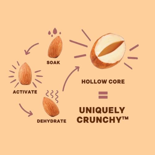 Image of Daily Crunch Sprouted Almonds and Dehydrated nuts for a Unique Crunch, Keto Friendly, Non-GMO Zero Seed Oils, Gluten Free 4oz (2 Pack, Spiced Chai Pear)
