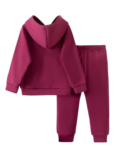 Little Girls Fall Outfits Graphic Long Sleeve Hoodie and Sweatpants Set2