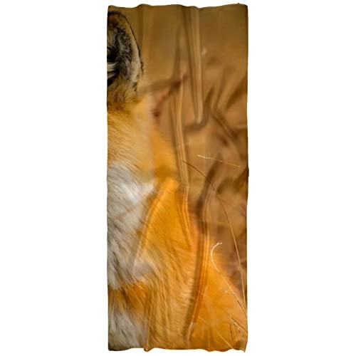 Écharpe légère femme imprimé renard - Châle multicolore toutes saisons