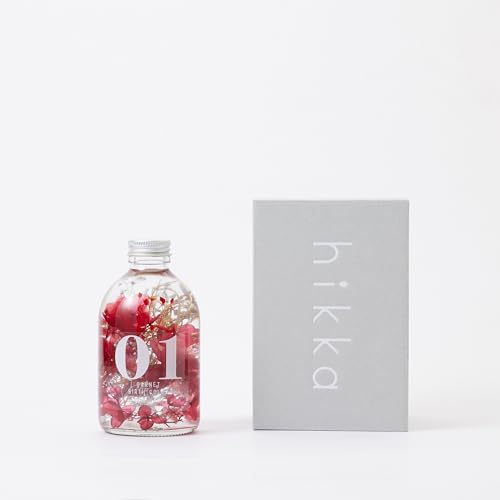 hikka (qbJ) yKiz n[oE o[XJ[ a KXr BOX bh (1K[lbg) a  ͂Ȃ sv { vU[uht[ hCt[ Mtg v[g  ̓ Ki