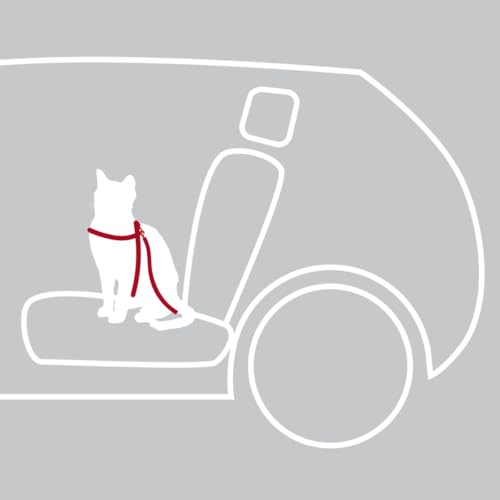 Gurt und Gürtel Sicherheit Katzen, 20 – 50 cm, Rot