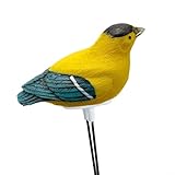 Medidor de humedad del suelo con sensor y alarma de riego para plantas, probador higrómetro para monitoreo preciso y continuo de hidratación del suelo (amarillo)