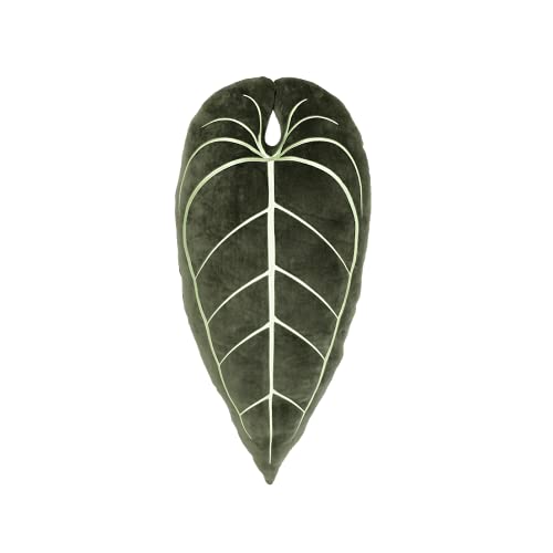 Anthurium Warocqueanum Khaki Green - Leaf Throw Pillow, Decorative, Bed, Flower, Decorative, Cute Pillow Great for Plant Lovers, Green Thumb Friends and Family, Accent + Decor Pillow