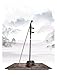 WNWN Shexagonal National Musical Instrument Mahogany Erhu for Performance Art Examination Erhu Instrument
