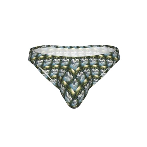 ZTPOWQA Hermosos calzoncillos de bikini con estampado de cisnes en el lago para hombres, trajes de baño, fiestas, vacaciones, viajes, transpirable, ropa interior elástica, Negro, 3XL