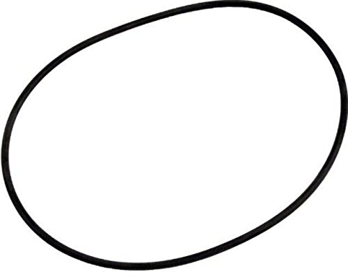 Hayward SPX0710XZ3 Cover O-Ring Replacement for Hayward Multiport & Sand Filter /RM#G4H4E54 E4R46T32500361