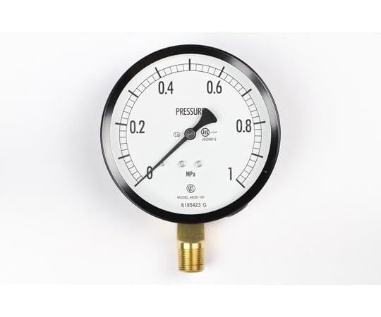 長野計器 普通形圧力計 Φ100 立形A枠 20MPa 検査証明書付 AE2018120M