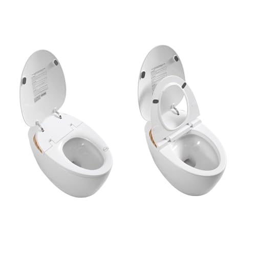 BWE Modern One-piece Bidet Toilet Seat, Tankless Smart Toilet With Bidet Built In, Elongated Toilet with Auto Flush, Auto Open & Auto Close,Heated Seat, Warm Water and Dry, Wireless Remote Control