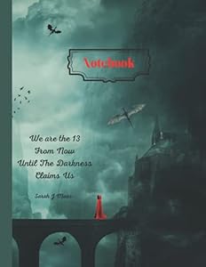 Notebook: "We are the 13"