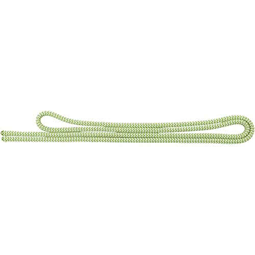Salewa Master Cord Corda, Unisex Adulto, Green (113Cm), 30