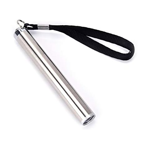 Handy Pen Light USB Rechargeable Mini Energy-Saving Flashlight LED Torch + Stainless Steel Clip Super Bright Torches (Color : Silver) Cover