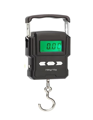 75kg/10g ݂艺XP[ LCD fW^XP[ dqV ނו sp X`[[h dʓV u _ Hp(A22L-Battery)