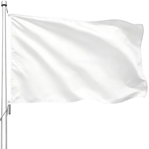 WANSHUNDE Solid White Flag 3x5 Ft Outdoor - Premium Polyester Double Stitched Plain White Flags Vivid Color Fade Proof DIY Flags with 2 Brass Grommets