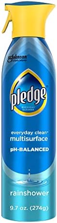 Pledge Everyday Clean...