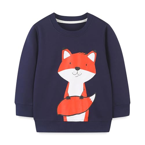 Boys Sweatshirts Casual Sweatshirts Cotton Sweatshirts Long Sleeve T-shirts Crew Neck Cartoon Tops for Boys-428
