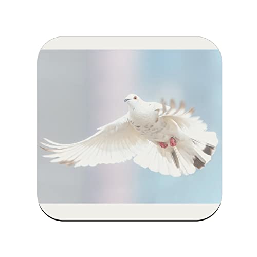 sous Verre en liège - Colombe Blanche Oiseau De Paix Ailes Deployes Nature - 1 unité (95 x 95 mm)