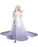 Cosplay.fm Women's Deluxe Princess Queen Cosplay Dress Cosplay Gown Costume (Ice Blue, Medium)