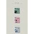SEVENTEEN 10th Mini Album 'FML'