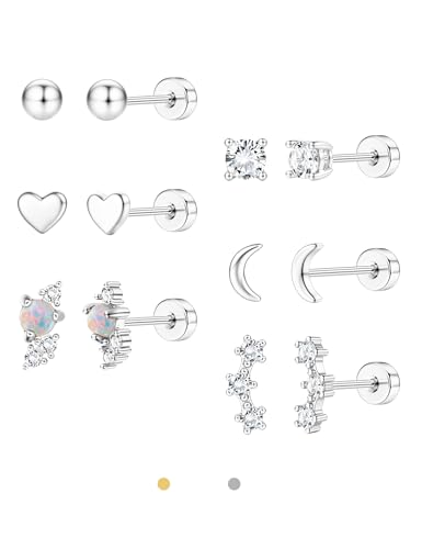 Chriscoco Pendientes Mujer Acero Inoxidable Pendientes Oro/Plata Pequeños Pendientes Antialergicos Piercing Oreja Cartílago Piercing Helix Piercing Tragus
