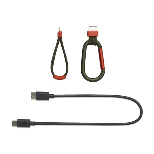 Cassa Wireless Jbl Flip 7 - 9