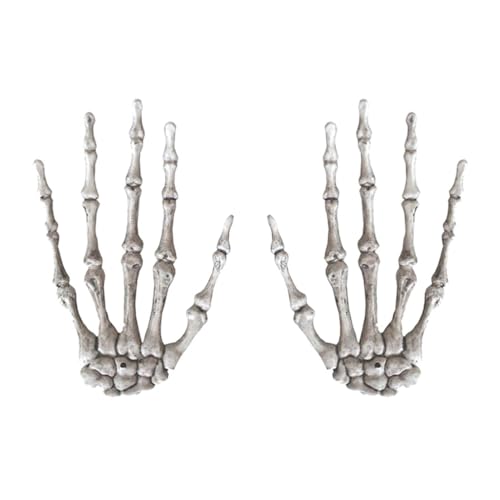 Baluue nEB [ nh fR[V  ` u ֐ߎw XPg vX`bN z[ p[eB[~ ʐ^Be u^    15.5×10cm