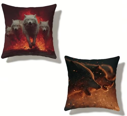 �N�b�V�����J�o�[ 65x65 cm 2���Z�b�g �T �������J�o�[ 65 x 65 �h�� ���� ���O �N�b�V���� ���� �l�C ���O Cushion Cover �l�p HD���ʈ�� ���_�� �B���t�@�X�i�[�t���C ������ �p���� �_�� �� �l�G�ʗp �� �t�G��?