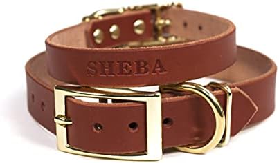 Handmade Personalized Bridle Leather Dog Collar, Engraved Pet Name, Brass/Gold Tone Hardware (Brown)