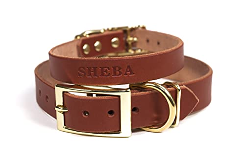 Handmade Personalized Bridle Leather Dog Collar, Engraved Pet Name, Brass/Gold Tone Hardware (Brown) #TOP30