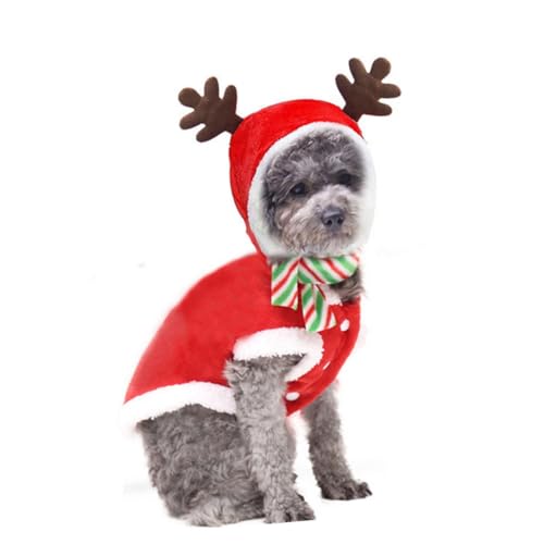 Disfraz navideño para perro XS con bufanda roja miniatura 7