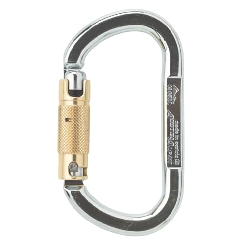 AustriAlpin Asymm Oval Xl 3-Wege-Autolock mousqueton de sécurité pour l'alpinisme et l'escalade
