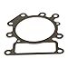 Briggs & Stratton 794114 Cylinder Head Gasket