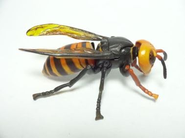 Amazon | 食玩 チョコQ 日本の動物 第7弾 191 オオスズメバチ 通販