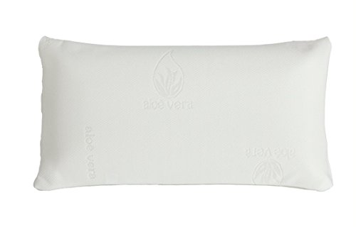 TEXTURAS HOME Secret Almohada VISCOELASTICA Aloe Vera Last Foam Tejido Aloe Vera con Hilo de Oro (Viaje ( 45X25cm )) Cover