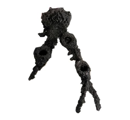 Ocean Aquaria 3 Hole Magnetic Acropora Branch Frag Rack/Frag Rocks for Live Coral Plug Ons for Reef Aquariums (Black)