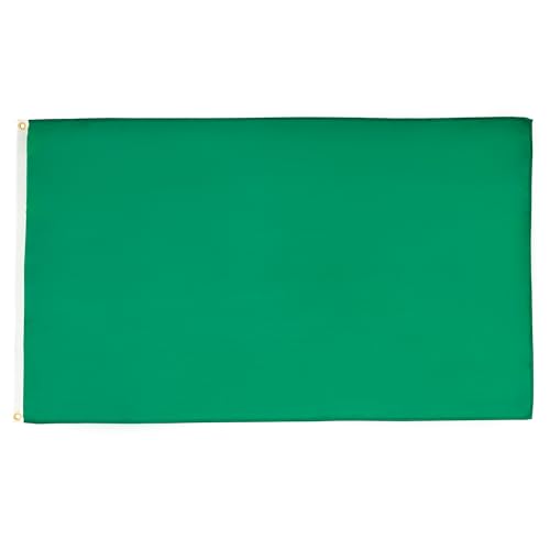 AZ FLAG - Bandeira comissária de pista verde - 90 x 60 cm - Bandeira comissários de corridas - Fórmula 1 100% poliéster com ilhoses de metal integrados - 50 g - Cores vivas e resistentes à