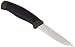 Morakniv Companion Fixed Blade Outdoor Knife with Sandvik Stainless Steel Blade, 4.1-Inch