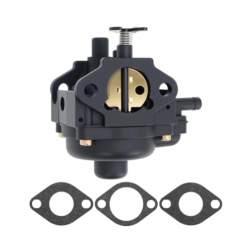 Carburador de quitanieves compatible con modelos CCR3650 CCR2450 Sn 2
