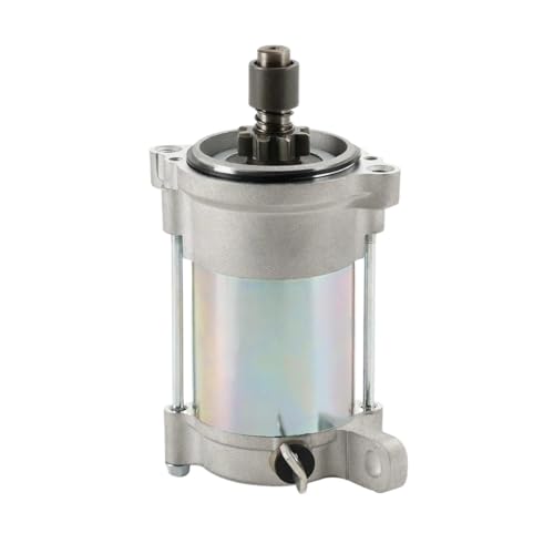 Démarreur moteur pour moto 300F 2006 à 2009 pièce de rechange