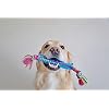 Petstages Orka Stick Alternative Dog Chew Toy