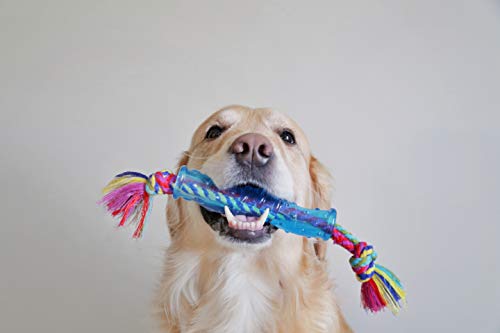 Petstages Orka Stick - Kauspielzeug für Hunde - Alternative zum Stöckchen - Royalblau