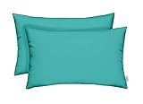 RSH DECOR: Sunbrella Lumbar Throw Pillows Set of 2 | 20' x 12' | Water and Fade-Resistant Performance Fabric | Outdoor Pillow Covers with Down-Alternative Inserts | Canvas Aruba-Made in USA