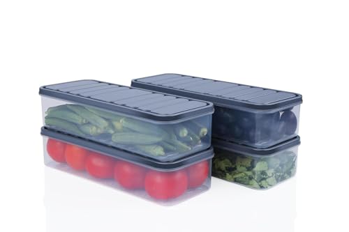 Image of TASMAX Fridge Storage Boxes, Plastic Fridge Containers, Fridge Accessories Items, (MODULAR CONTAINER)