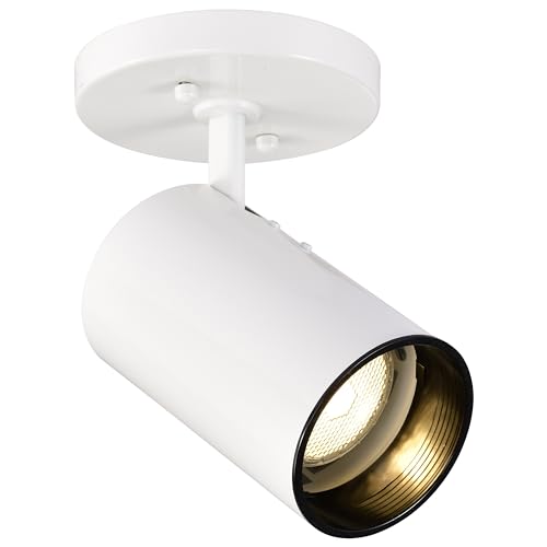 Nuvo SF76/412 One Light Close-To-Ceiling Flush Mount thumb #1